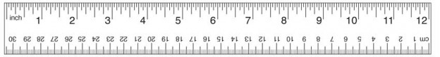 22 inches ruler online