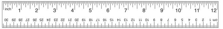 Printable Rulers - Free 12