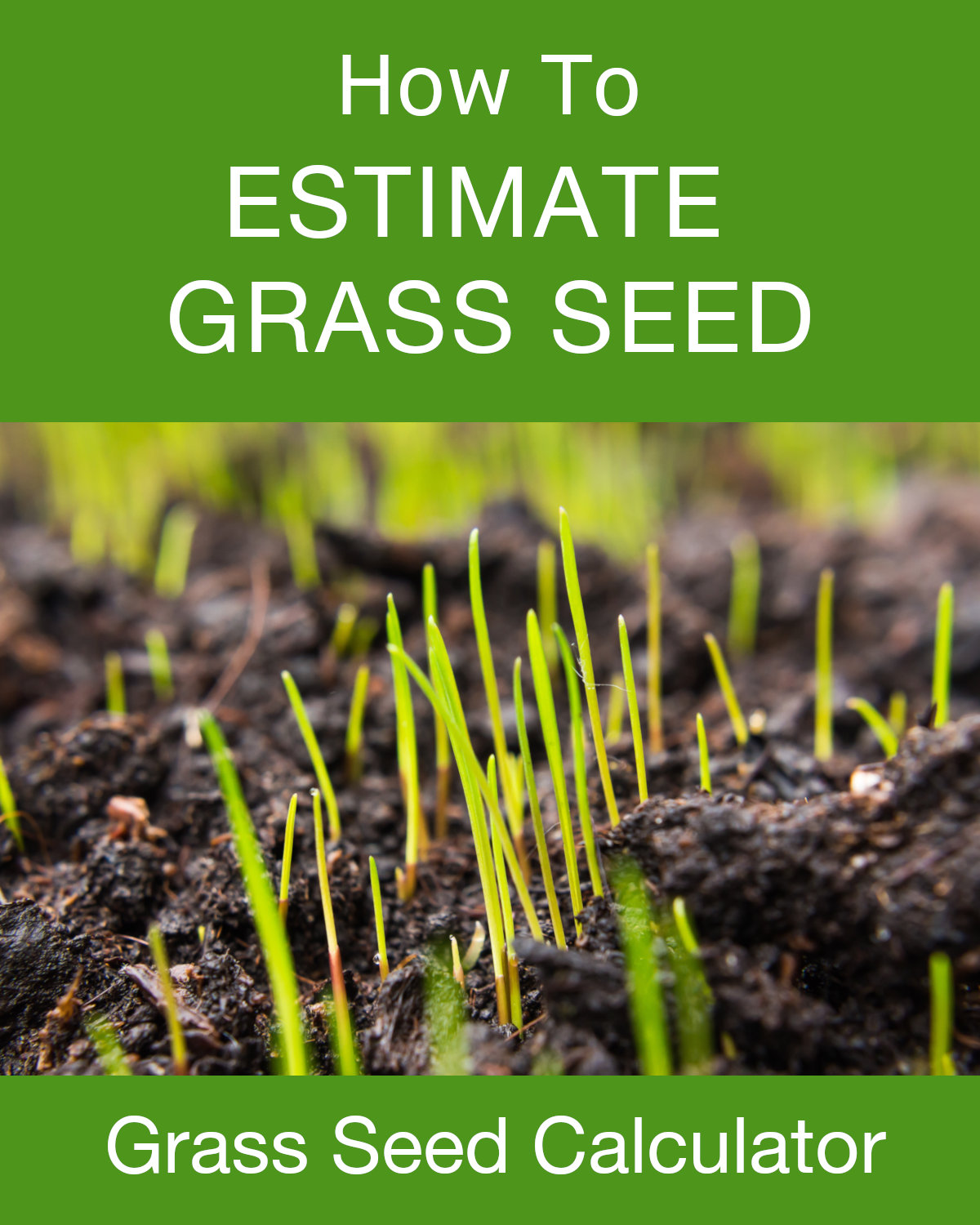 grass-seed-calculator-inch-calculator