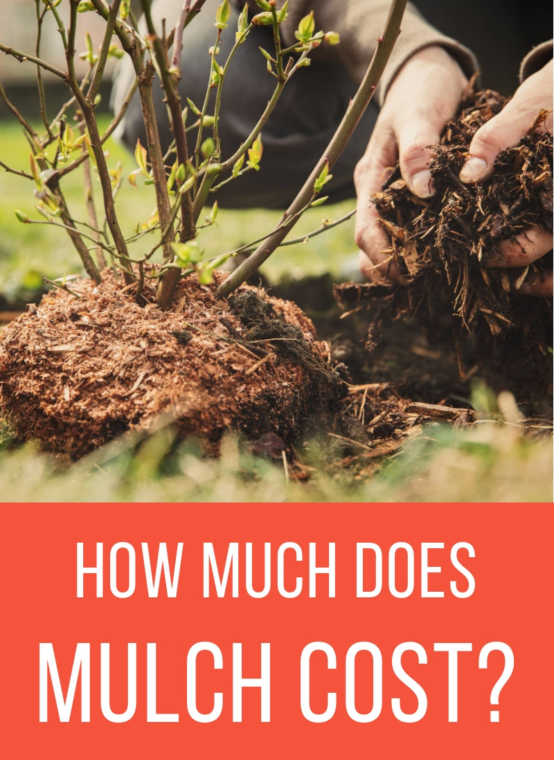 Cost to Install Mulch 2021 Price Guide Inch Calculator