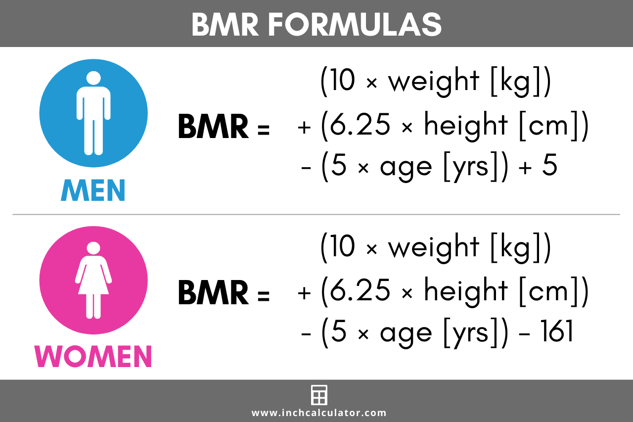bmr chart for female