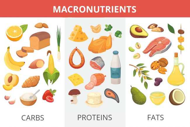 Macros Calculator - Calculate Macros for Weight Loss - Inch Calculator