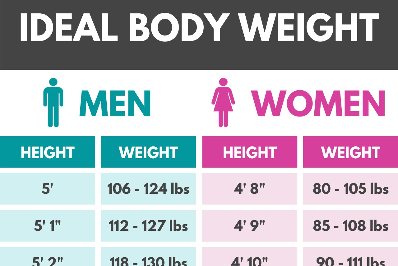 body fat calculator for men