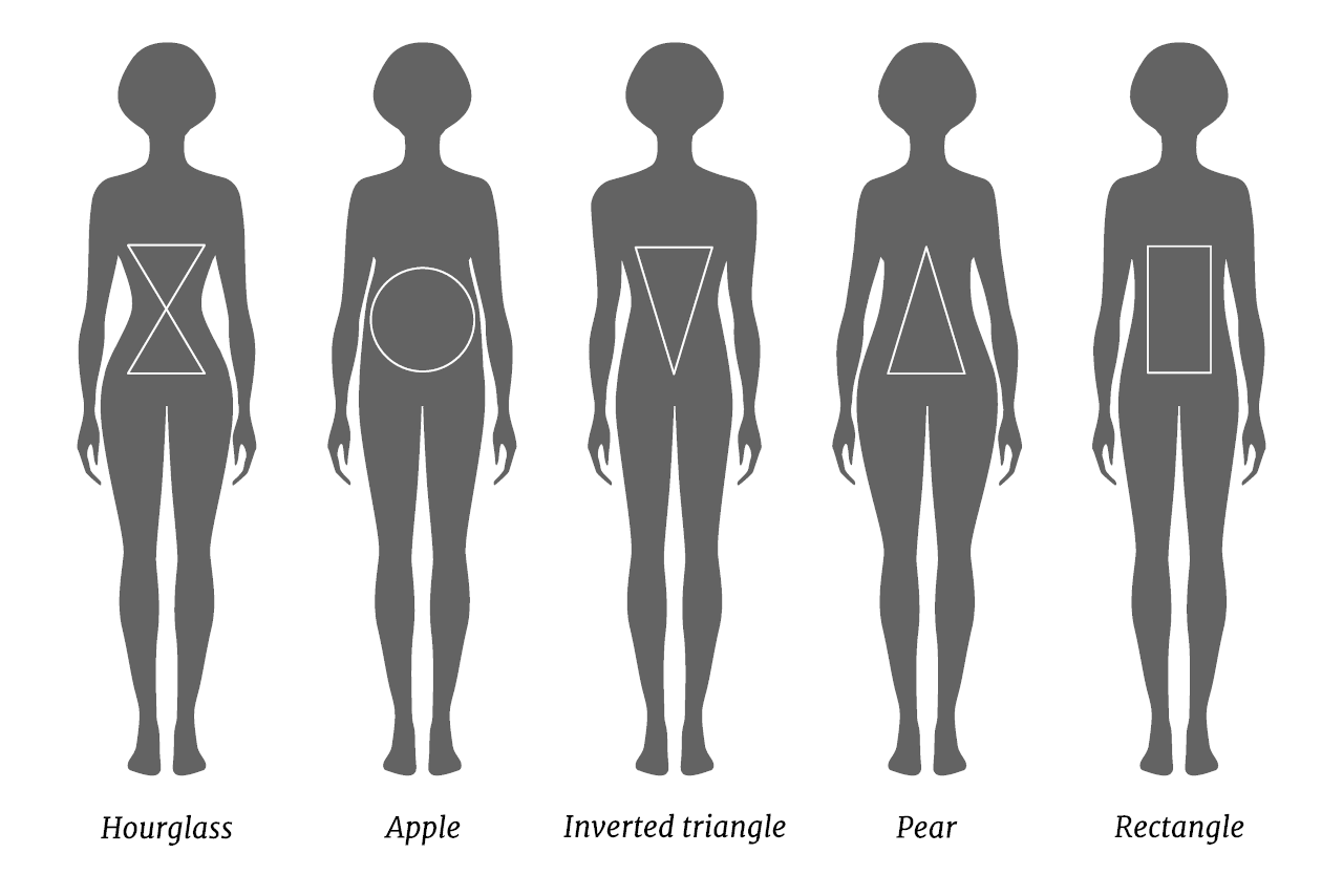 average woman body proportions