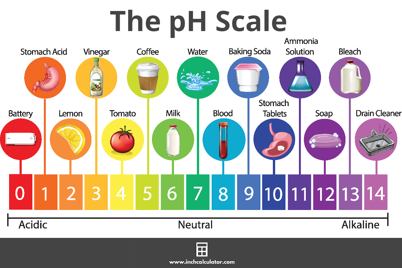 The pH Scale of Acid and Bases - PSIBERG