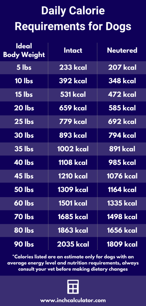 How To Calculate Calories And Control Weight Calorie Vrogue co