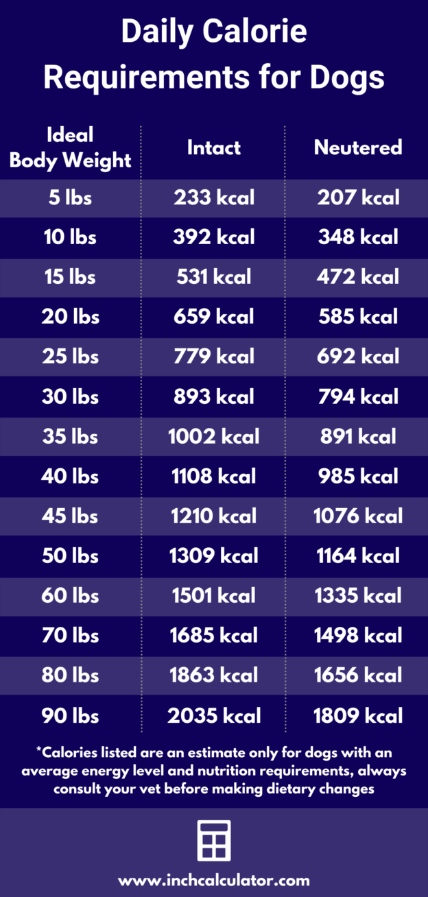 How Much Should A 30 Pound Dog Eat Per Day