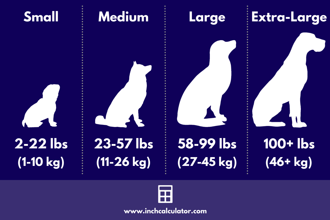 Dog Weight Chart: How to Determine Your Dog's Ideal Weight - Bully Max