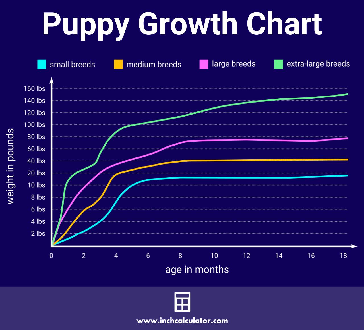 chihuahua weight chart in pounds