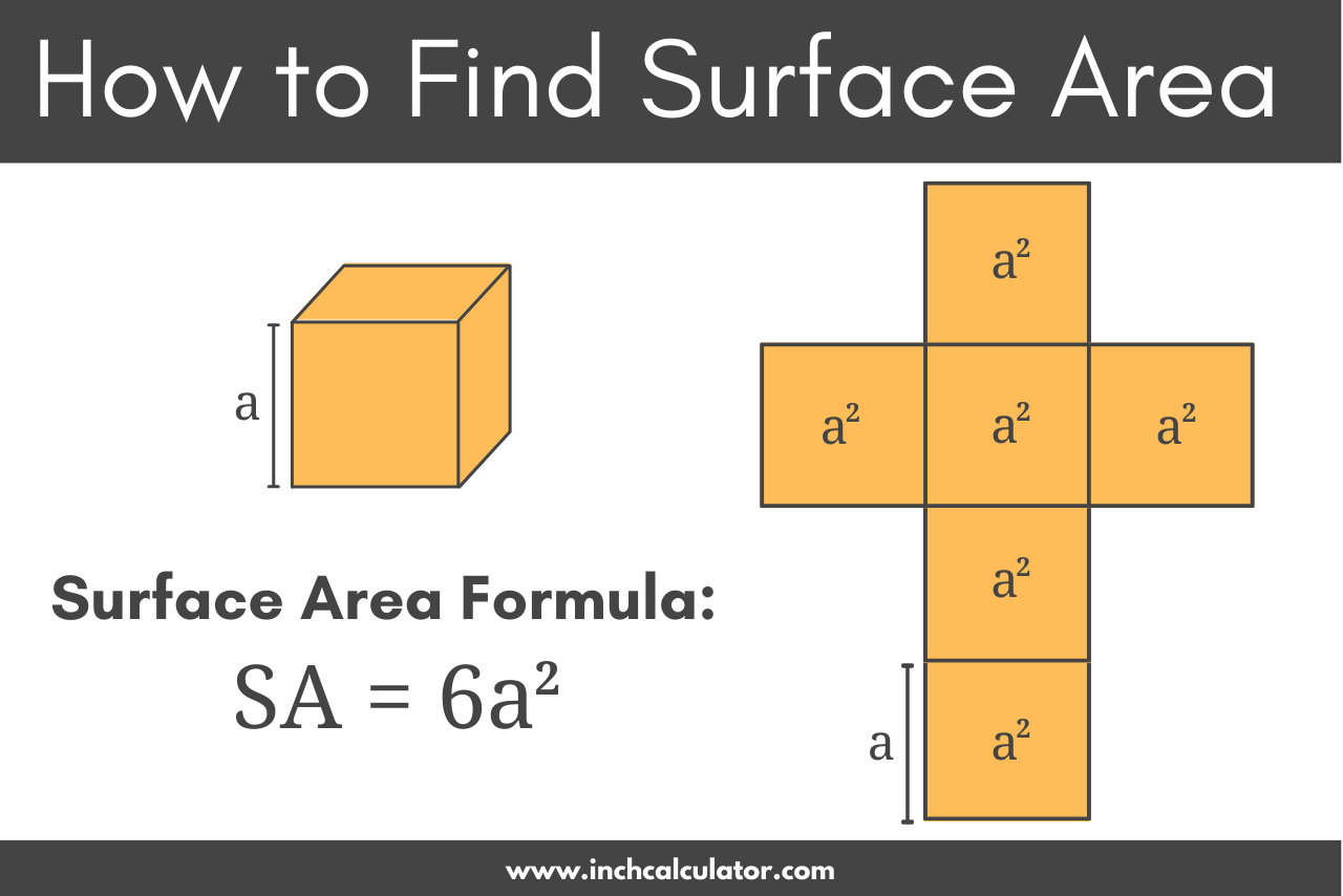 Surface Area Calculator - With Formulas - Inch Calculator